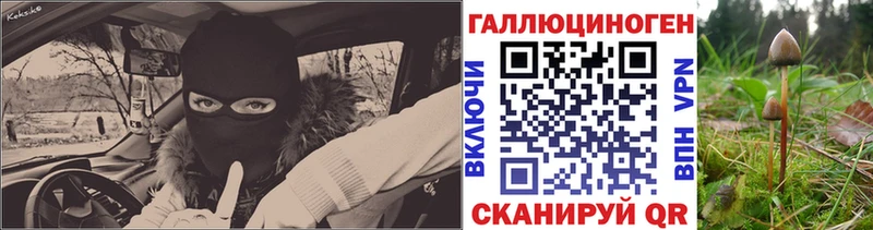 Галлюциногенные грибы Psilocybine cubensis цены наркотик omg Ленинск